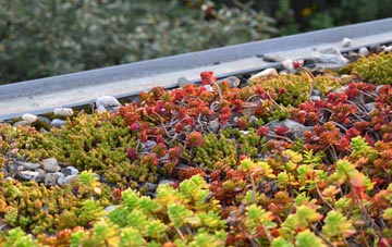 the cost of Banavie green roof installation