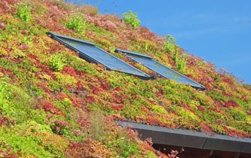 Banavie living roof systems
