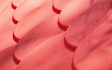 Banavie plastic roof costs