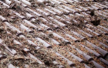 Banavie roof cleaning companies